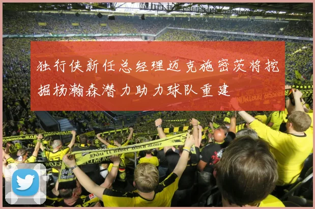 独行侠新任总经理迈克施密茨将挖掘杨瀚森潜力助力球队重建